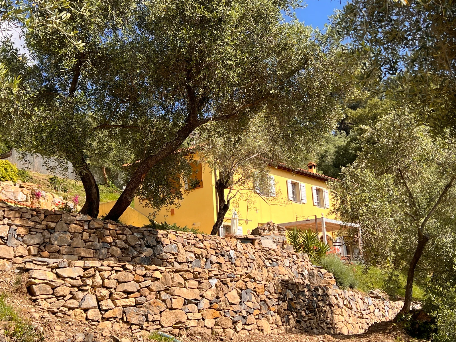 Esterni, Casale Ulivi Luxury