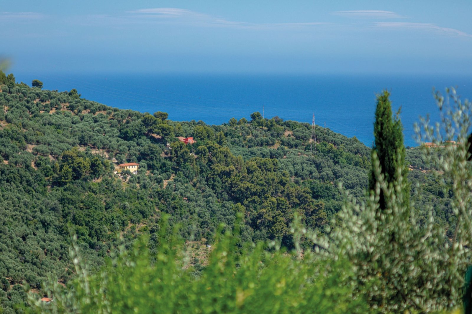 Casale Ulivi Luxury, Casale Ulivi Luxury