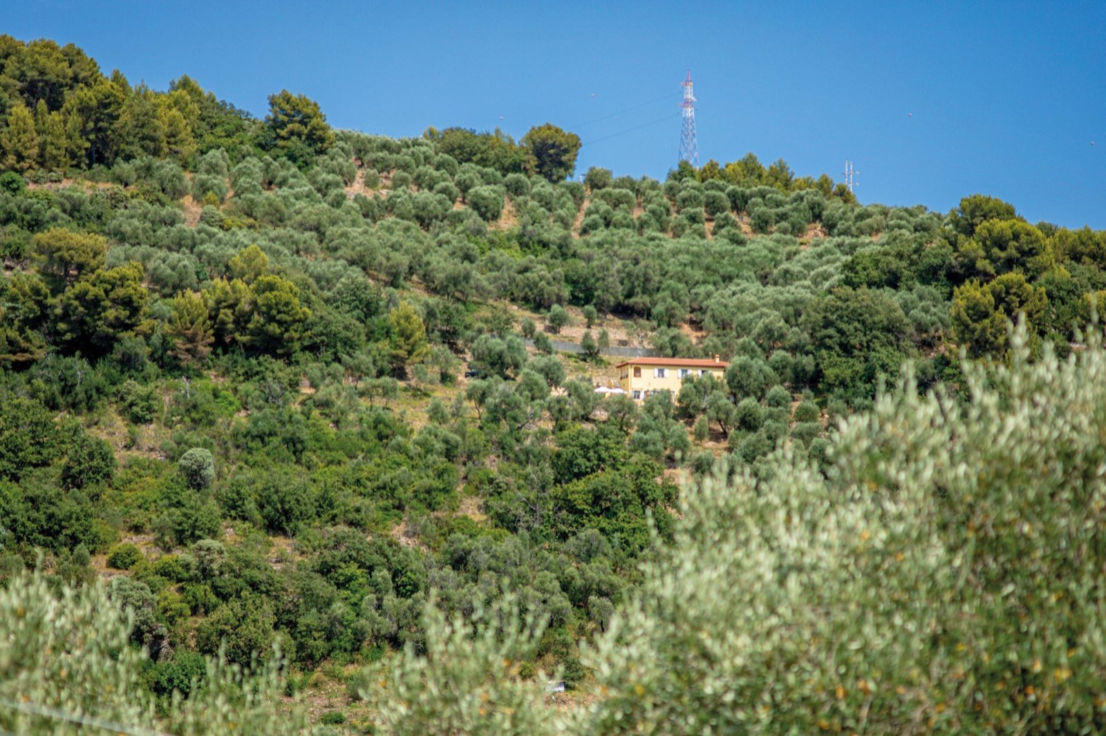 Casale Ulivi Luxury, Casale Ulivi Luxury