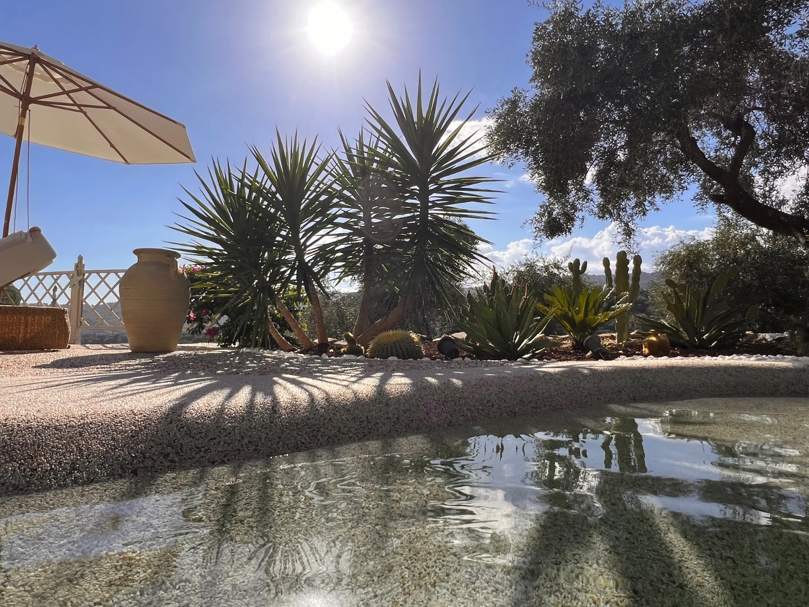 Piscina Biodesign, Casale Ulivi Luxury